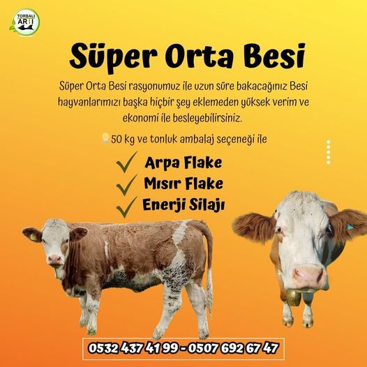 SÜPER BESİ RASYONU - 3